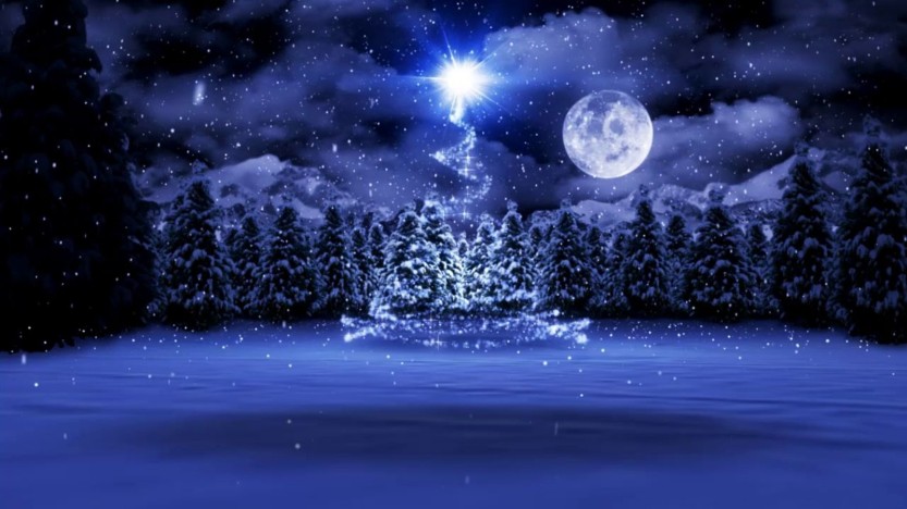 a_magical_night_trees_stars_sky_snow_moon_hd-wallpaper-1618493